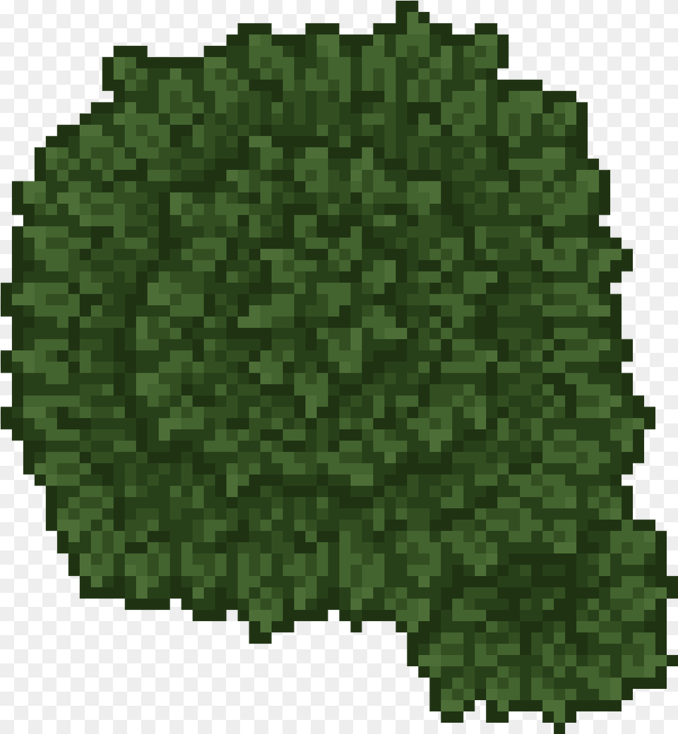 Tree Top Down, Green, Plant, Vegetation, Nature Png