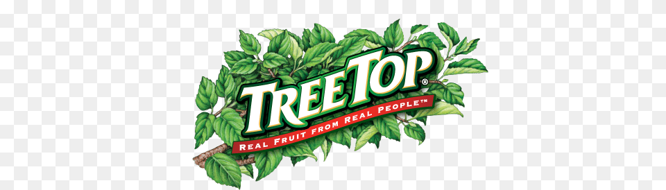 Tree Top Internships, Green, Herbal, Herbs, Leaf Png Image