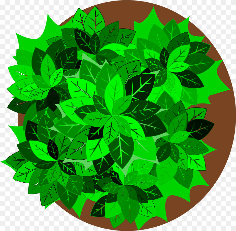 Tree Top Royalty Library Files Plant Vector Top View, Green, Herbal, Herbs, Leaf Free Transparent Png