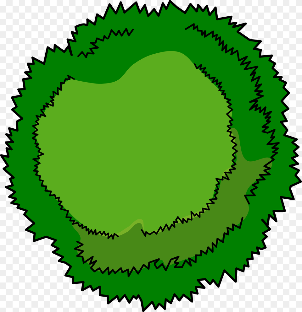 Tree Top View Clip Art, Plant, Green, Land, Nature Free Png