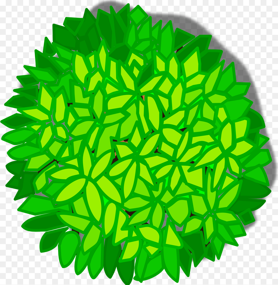 Tree Top View Clip Download Tree Top View Clipart, Art, Graphics, Green, Leaf Free Transparent Png