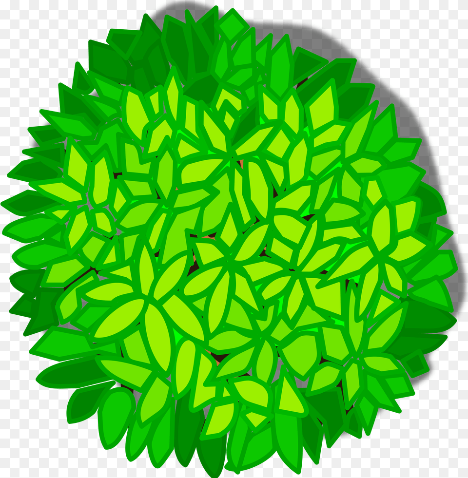Tree Top View Clipart, Art, Graphics, Green, Leaf Free Png