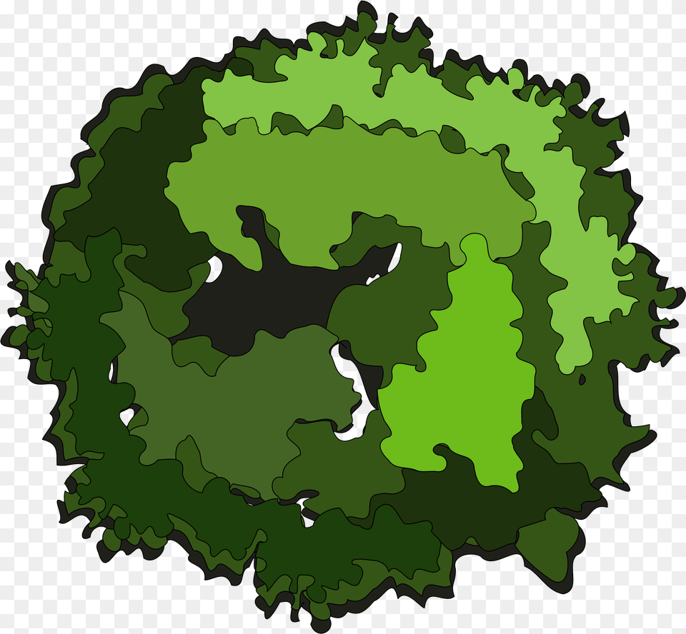 Tree Top View Clipart Tree Clipart Top View, Green, Plant, Vegetation, Pattern Png Image