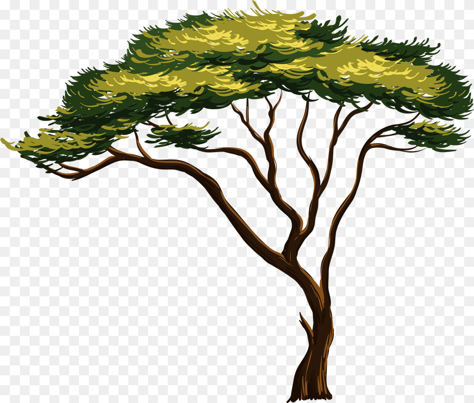 Tree Transparent African Tree Clipart, Plant, Art, Vegetation, Painting Free Png