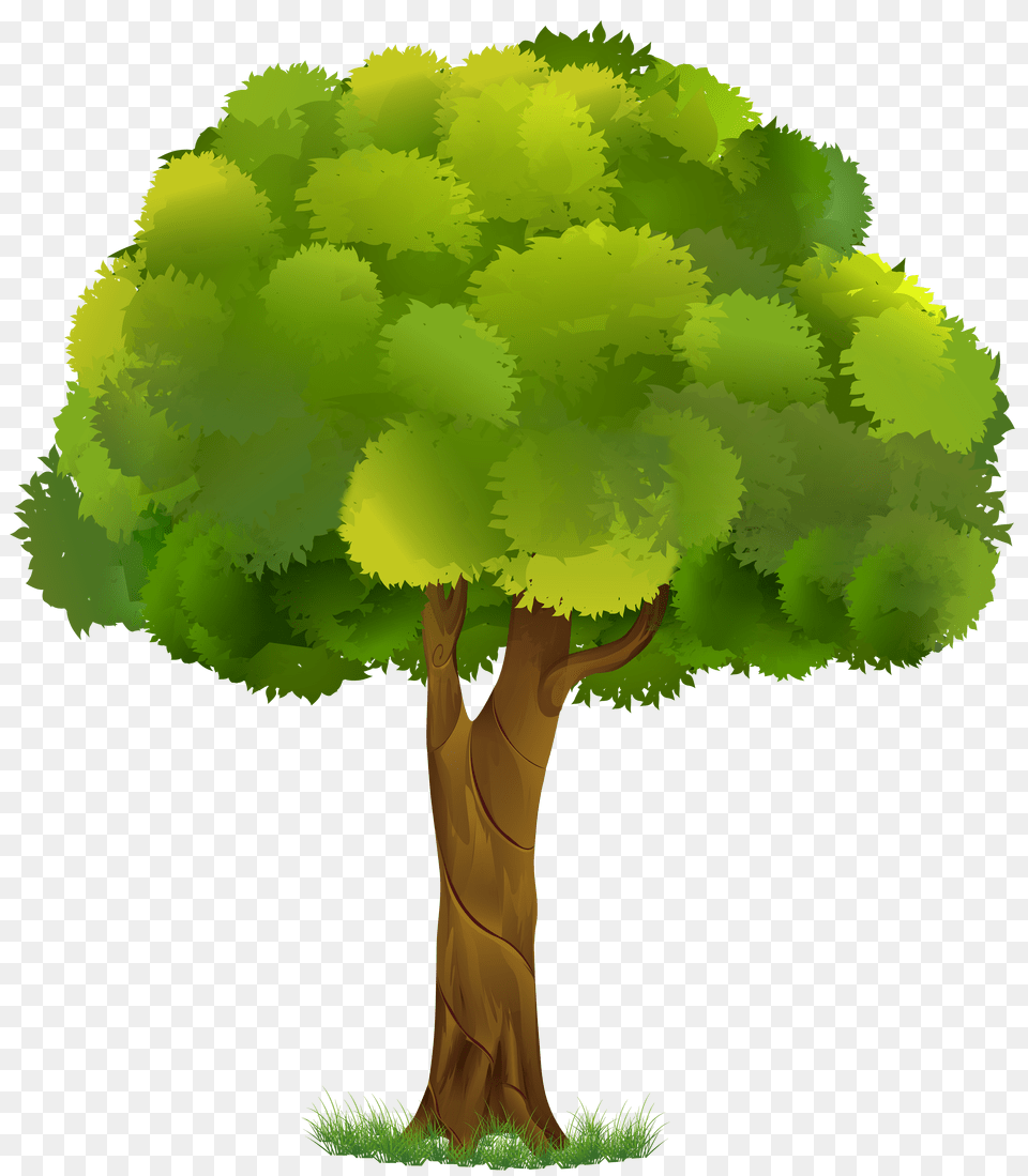 Tree Transparent Clip Art Png Image