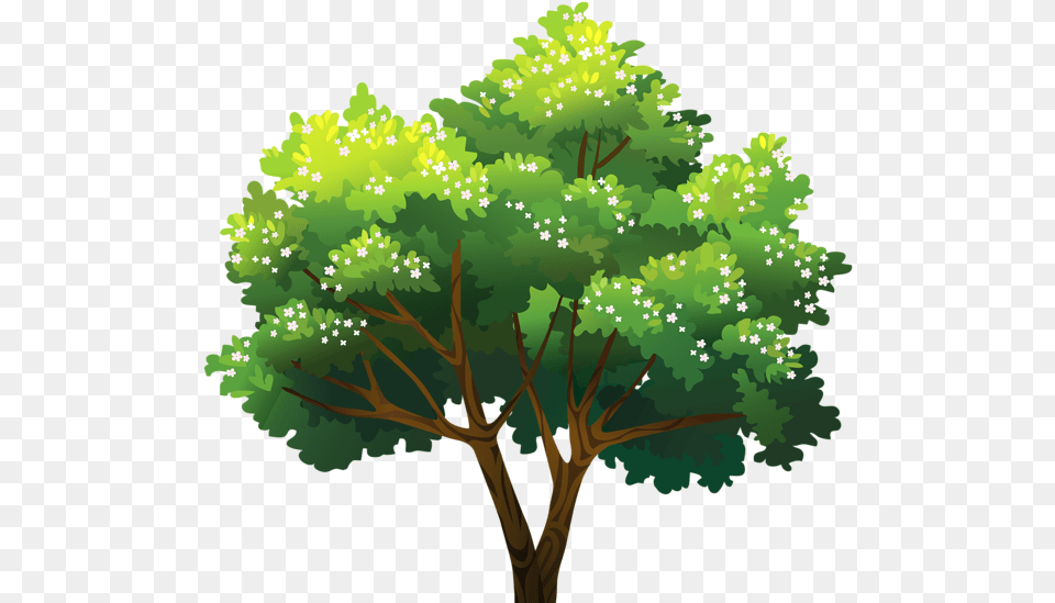 Tree Tree, Green, Vegetation, Oak, Sycamore Png