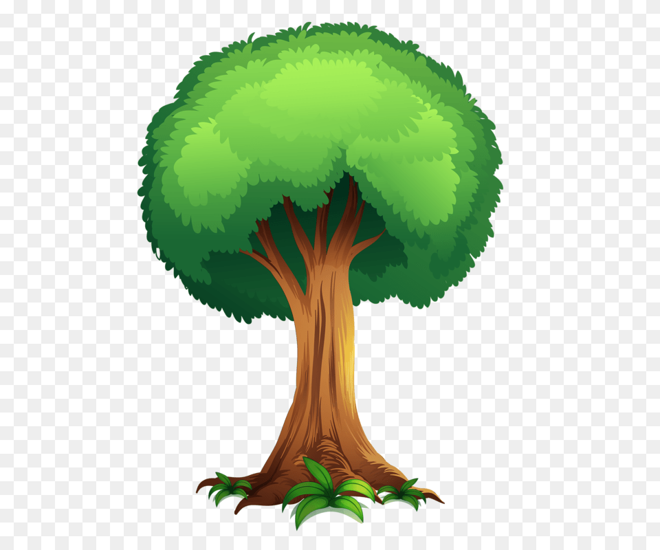 Tree Tree Clipart Tree Leaves, Green, Plant, Vegetation, Land Png Image