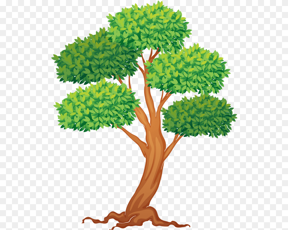 Tree Tree Drawings Tree Clipart Tree Illustration Trees Cliparts, Plant, Potted Plant, Vegetation, Oak Free Png Download