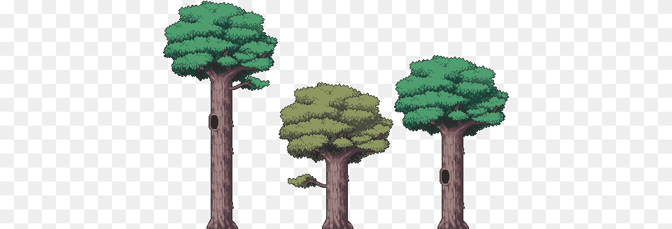 Tree Tree Trunk Pixel, Conifer, Tree Trunk, Plant, Vegetation Png