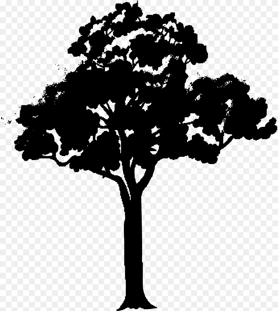 Tree Tree Vector Black, Gray Png Image