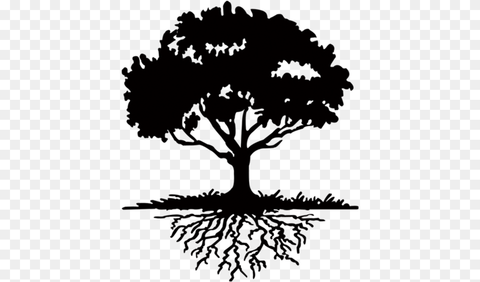 Tree Tree With Roots Silhouette, Oak, Plant, Potted Plant Free Transparent Png