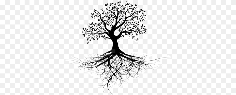 Tree Treeroots Treeoflife Freetoedit Tree With Roots Outline, Art, Drawing, Person, Plant Png