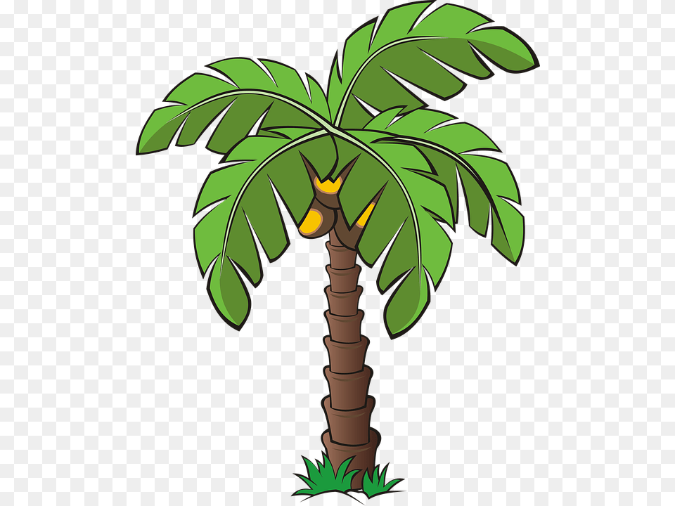 Tree Trees Palm Dates Date Palm Forest Vegetation Date Palm Tree Cartoon, Palm Tree, Plant Free Png