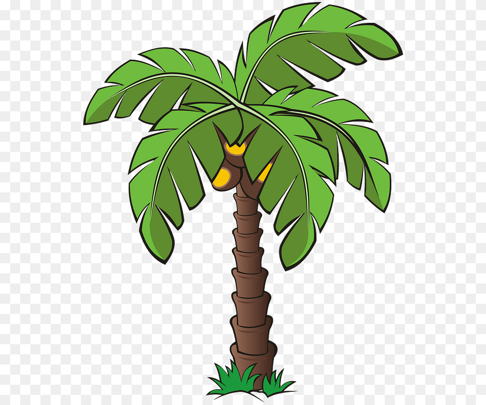 Tree Trees Palm Image On Pixabay Date Tree Clip Art, Palm Tree, Plant, Vegetation, Leaf Free Png