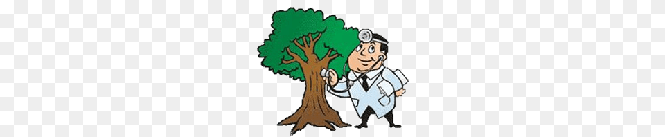 Tree Trimming, Book, Comics, Publication, Baby Free Transparent Png