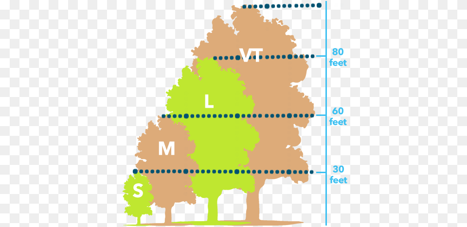 Tree Trimming Service Guide, Chart, Plot, Map, Atlas Free Transparent Png