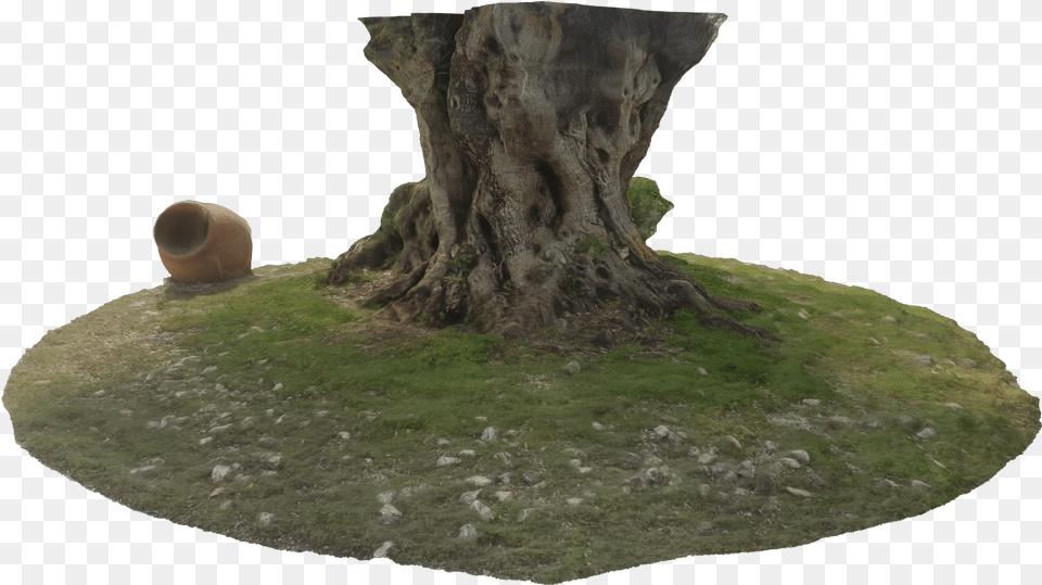 Tree Trunk An Old Treasure From The Nature Born Tree Stump, Plant, Tree Stump, Tree Trunk, Moss Free Transparent Png