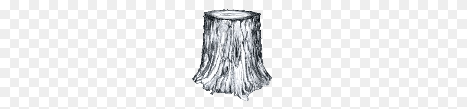 Tree Trunk Black And White, Plant, Tree Stump Free Png Download