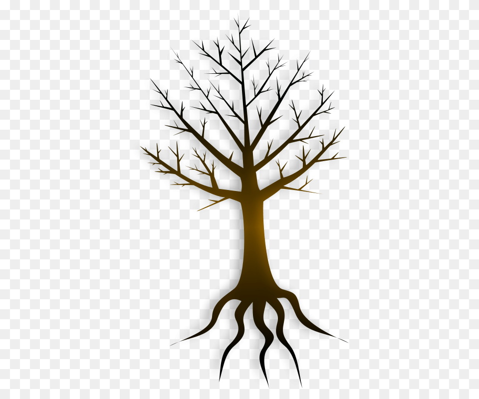 Tree Trunk By, Cross, Symbol, Plant Png