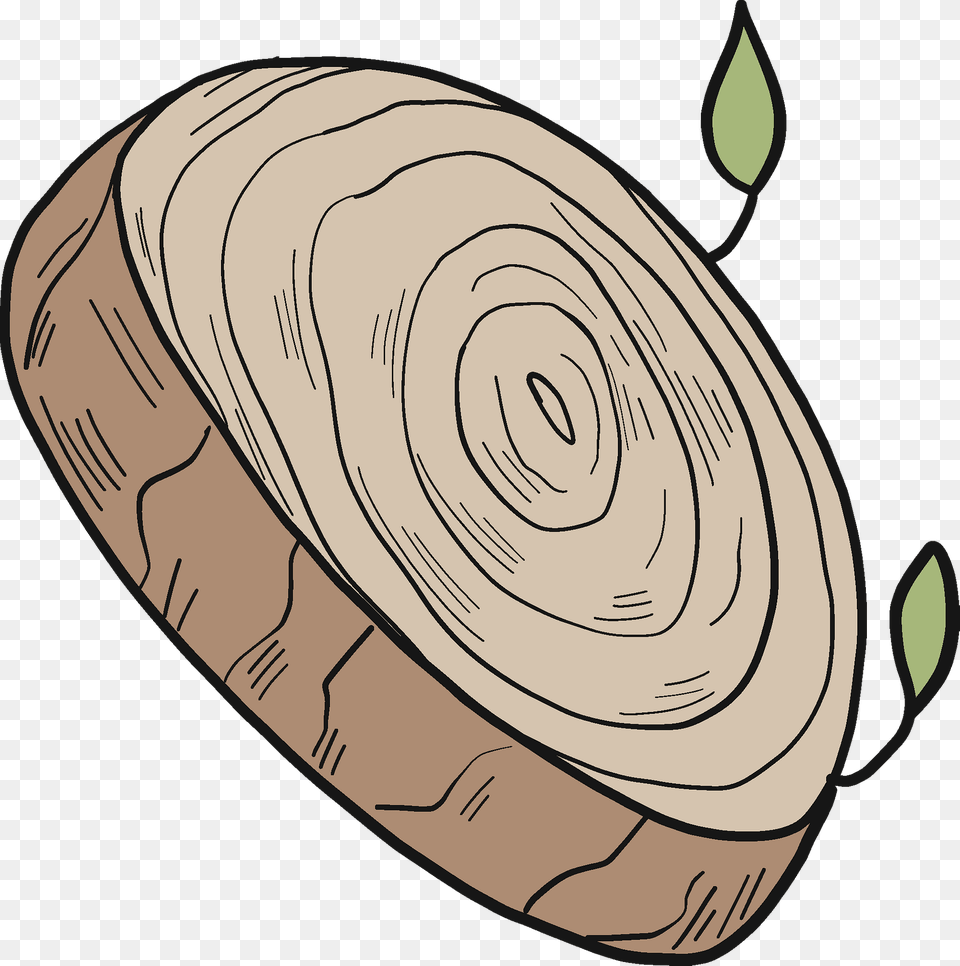 Tree Trunk Clipart, Animal, Clam, Food, Invertebrate Free Transparent Png