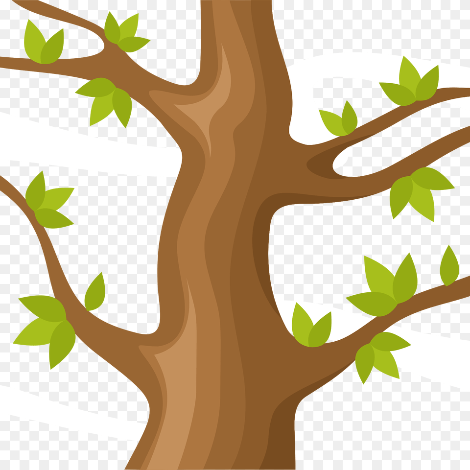 Tree Trunk Clipart, Vegetation, Tree Trunk, Plant, Sycamore Png