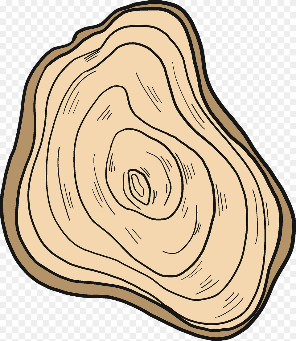 Tree Trunk Clipart, Animal, Seashell, Seafood, Sea Life Free Transparent Png