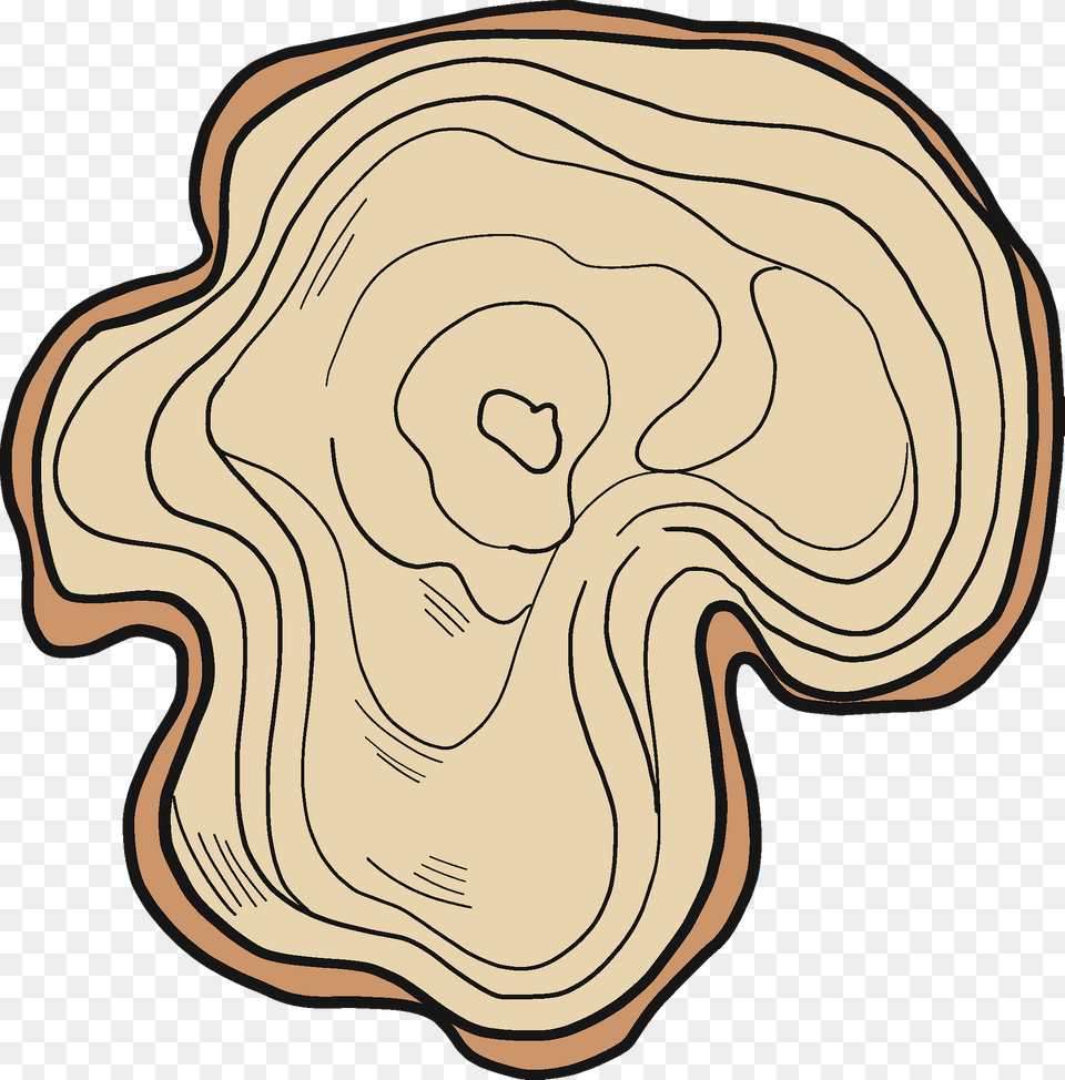 Tree Trunk Clipart, Wood, Home Decor, Animal, Kangaroo Png