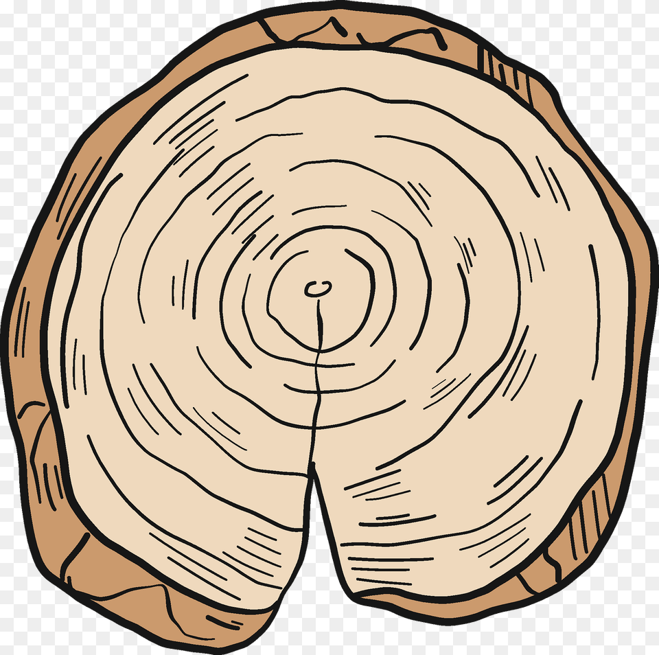 Tree Trunk Clipart, Lumber, Plant, Wood, Person Free Png