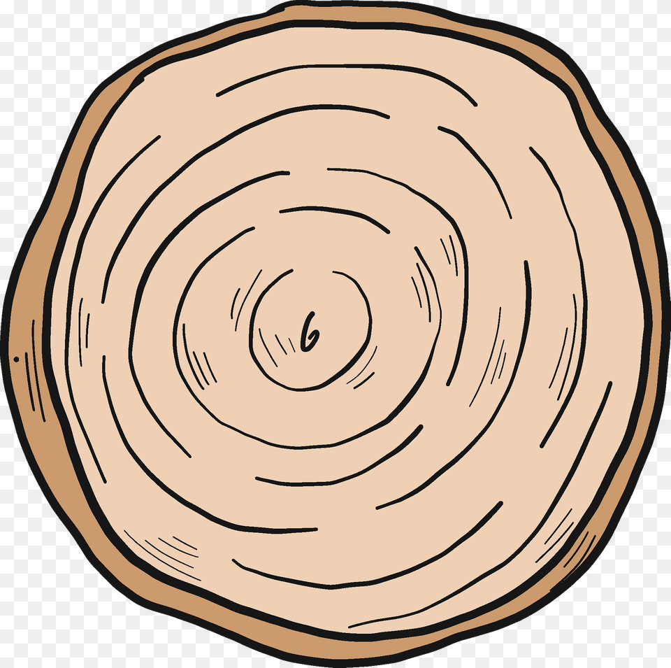Tree Trunk Clipart, Wood, Plant, Home Decor, Person Free Png Download