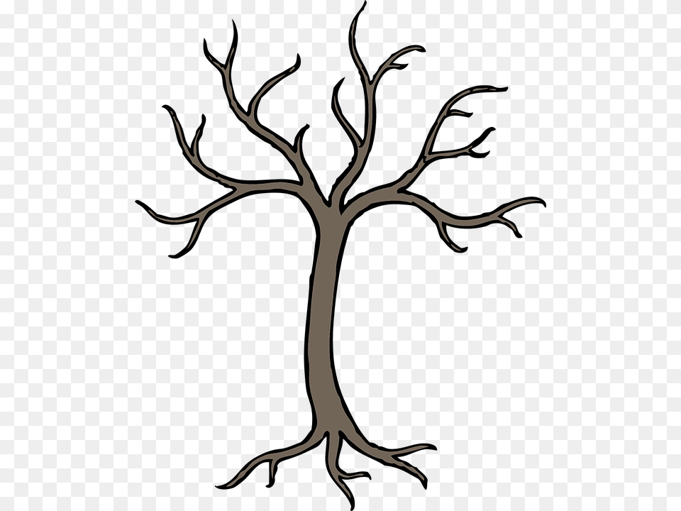 Tree Trunk Clipart Outline Clipart Transparent Free Cartoon Tree Branch Drawing, Art Png