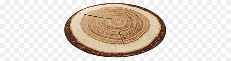 Tree Trunk Cross Section Mat, Plant, Wood, Lumber, Tree Trunk Free Transparent Png