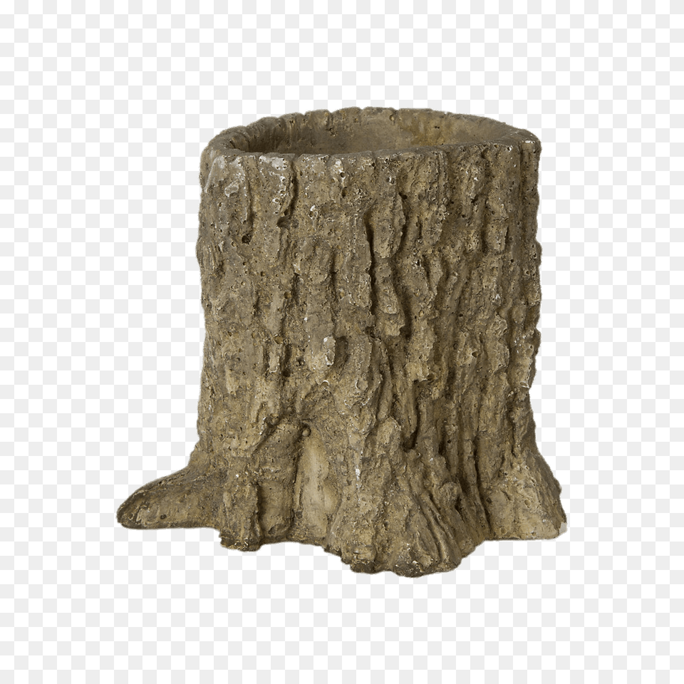 Tree Trunk Decoration, Plant, Tree Stump, Tree Trunk Free Transparent Png