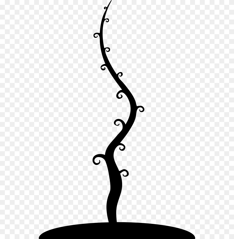 Tree Trunk Growing From Soil Trunk, Silhouette, Beverage Free Transparent Png