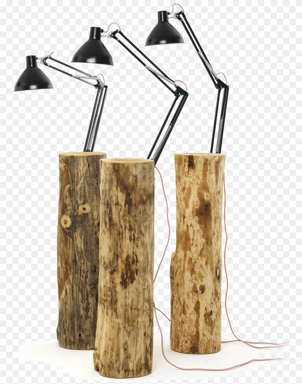 Tree Trunk Lamp, Plant, Table Lamp, Tree Stump, Wood Png Image