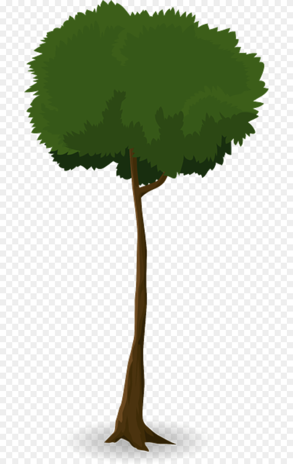 Tree Trunk Nature Leaves Branches Graphic Organic Trunk, Plant, Tree Trunk, Sycamore, Vegetation Free Transparent Png