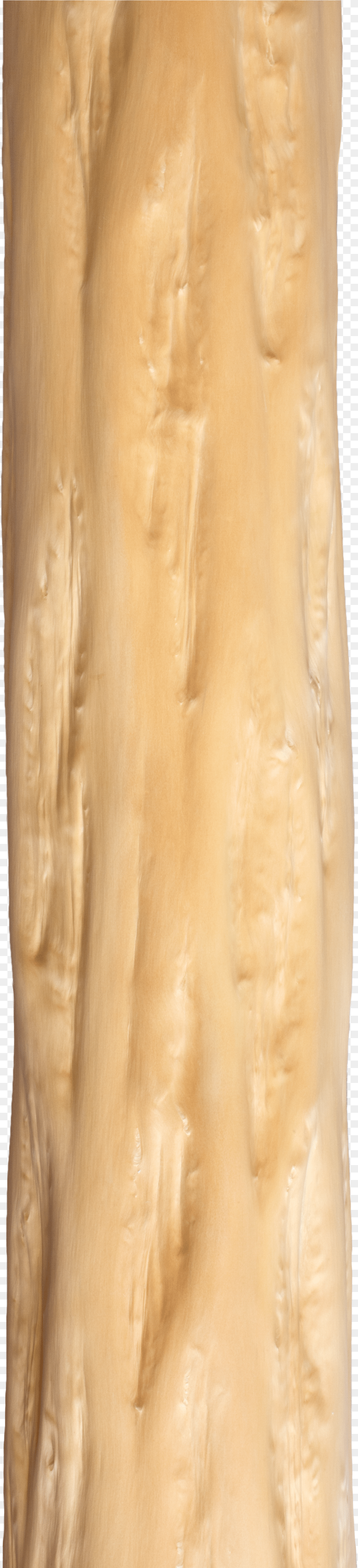 Tree Trunk Over The Bark Of The Treetree Trunk Plywood Free Transparent Png