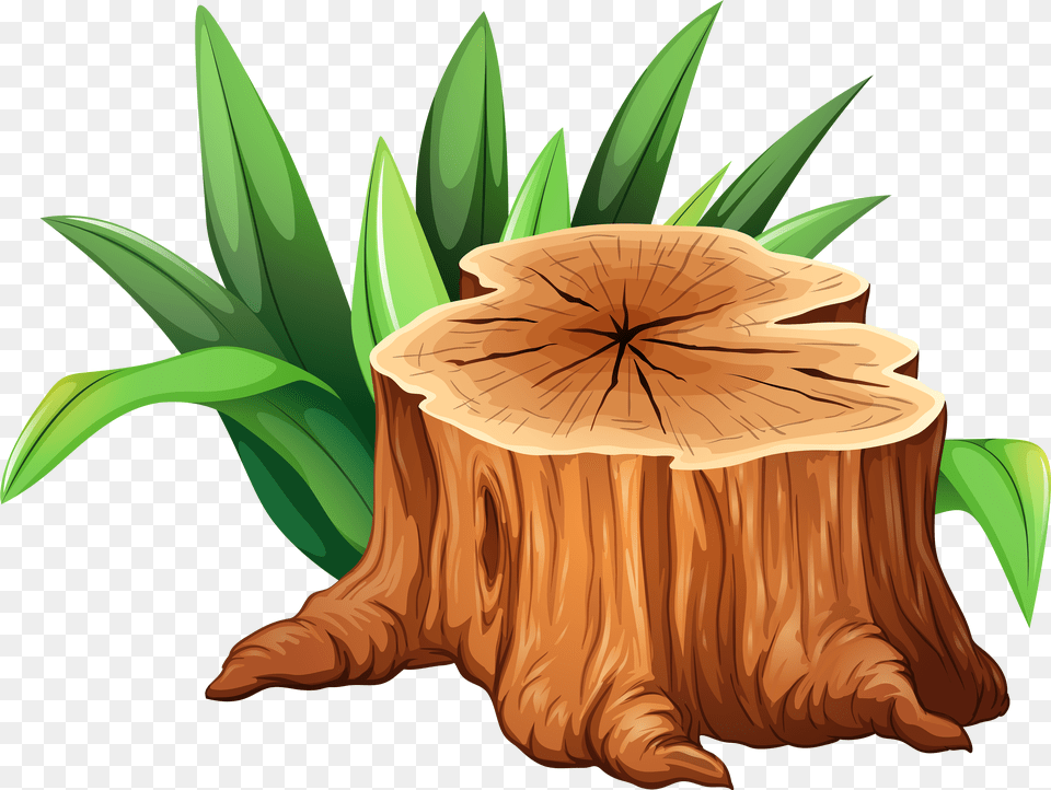Tree Trunk Tree Stump Clipart, Plant, Tree Stump, Animal, Fish Free Png Download