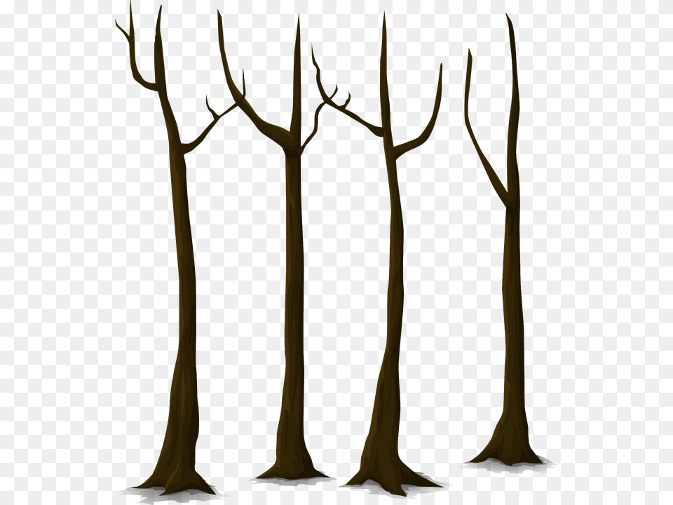 Tree Trunk Vector Antler, Bow, Plant, Weapon Png Image