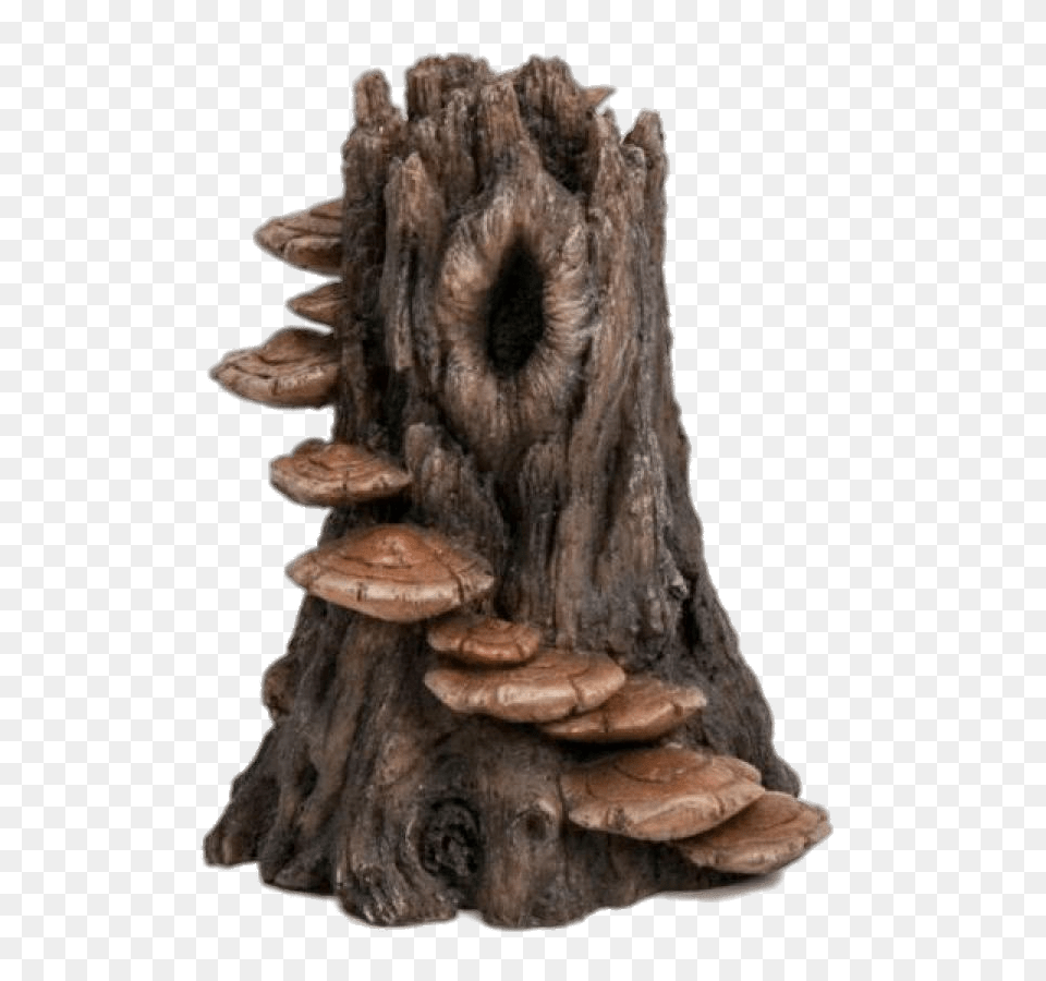 Tree Trunk With Mushroom Steps, Plant, Tree Stump, Fungus, Tree Trunk Free Png