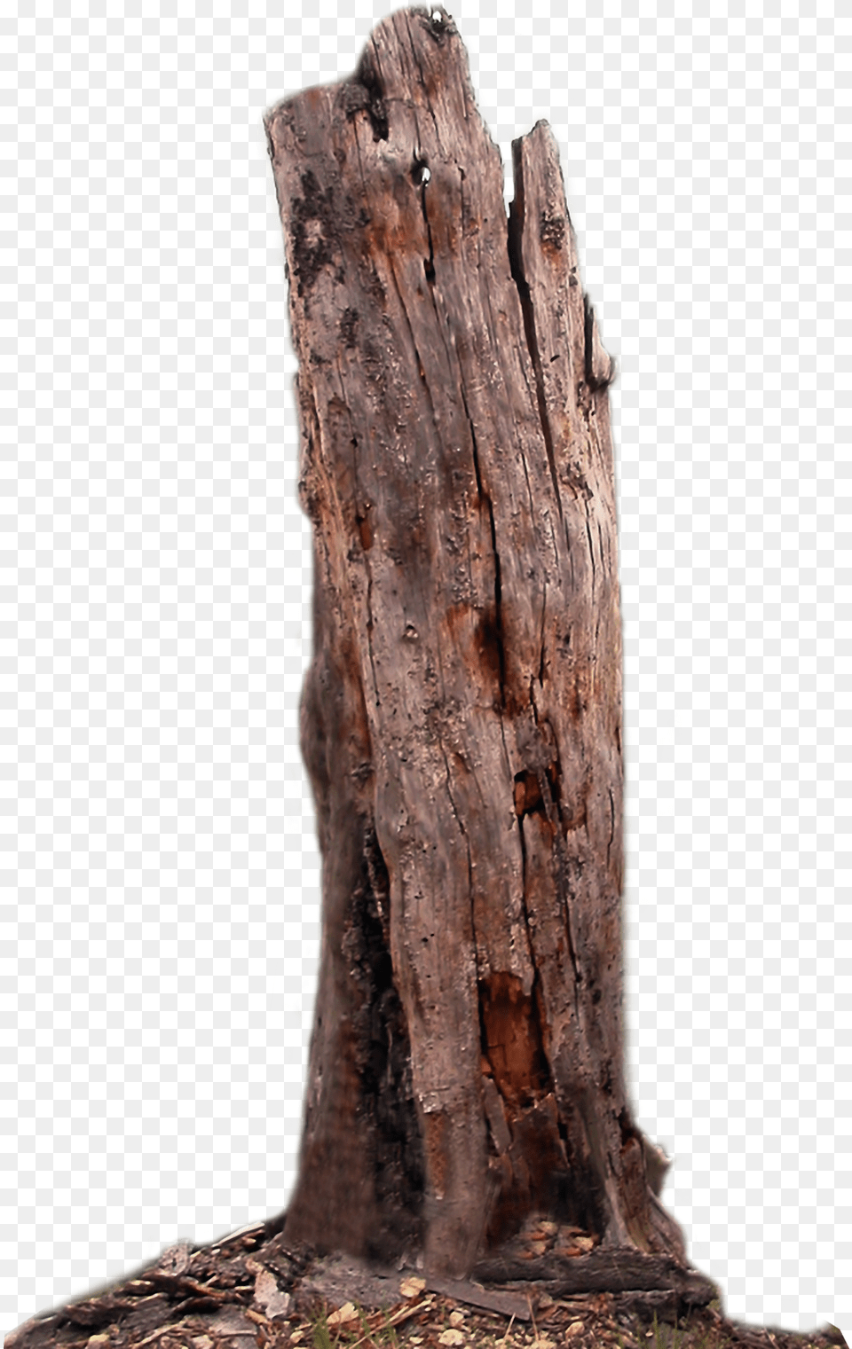 Tree Trunk Wood Clipart Stump, Plant, Tree Trunk, Tree Stump Png