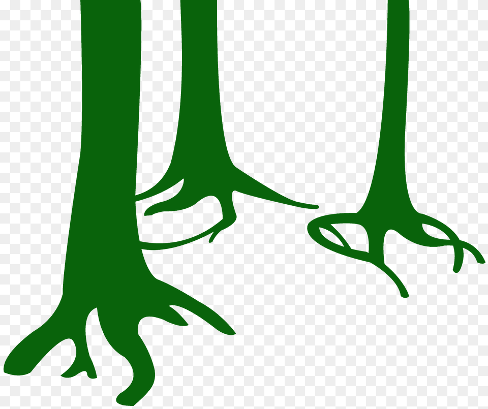 Tree Trunks Silhouette, Green, Vegetation, Plant, Hardware Png