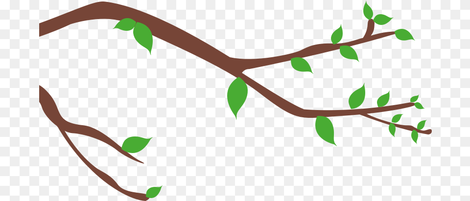 Tree Twig Clipart Full Size Clipart Pinclipart Twig, Leaf, Plant, Vegetation, Flower Free Png