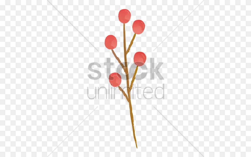 Tree Twig With Berries Vector Image, Food, Fruit, Plant, Produce Free Png Download