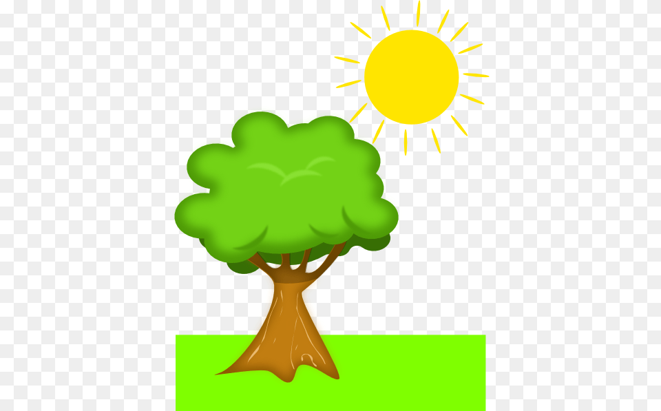 Tree Under Sunlight Clip Art, Green, Plant, Vegetation, Potted Plant Free Png