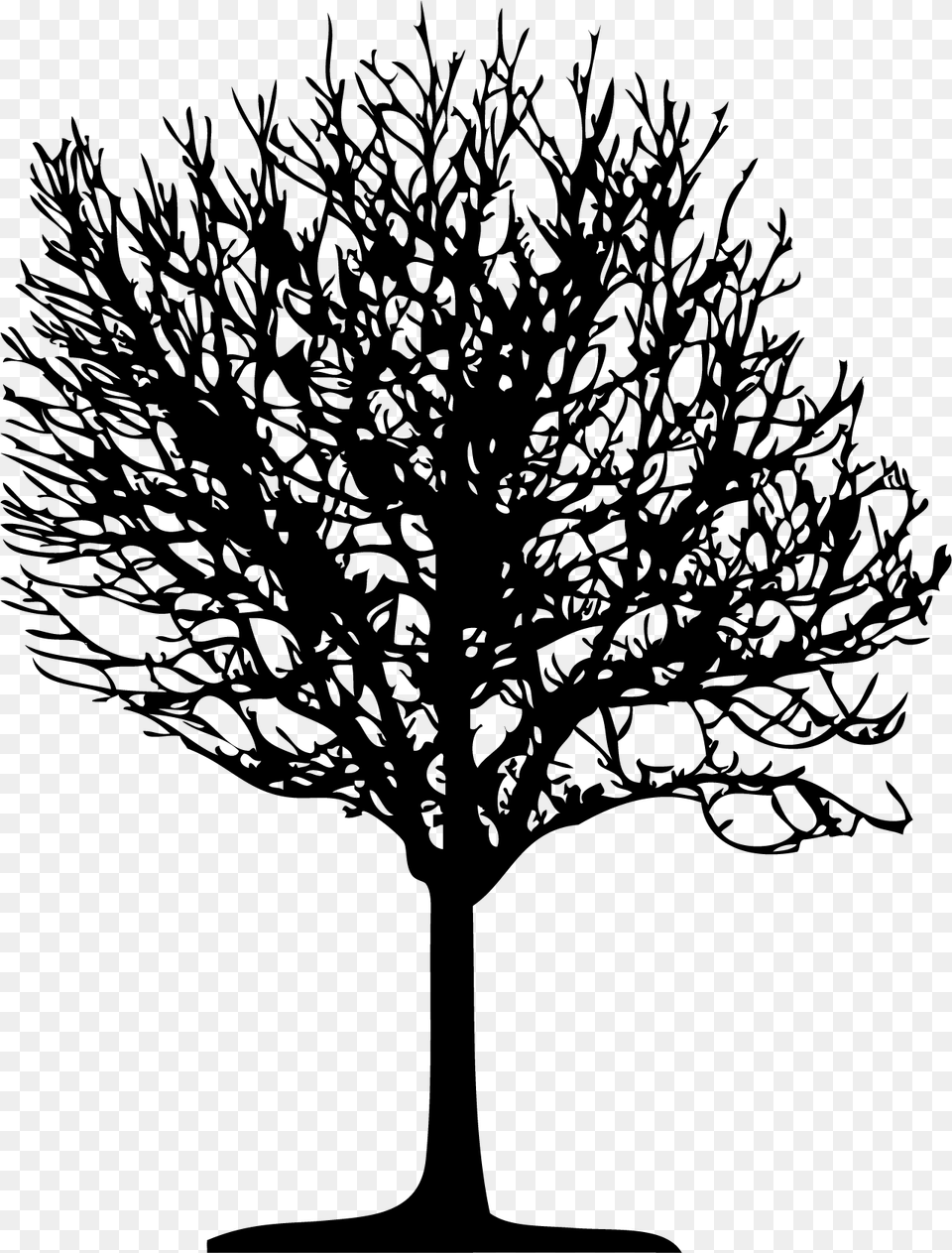 Tree Vector, Plant, Silhouette, Art, Drawing Free Png Download