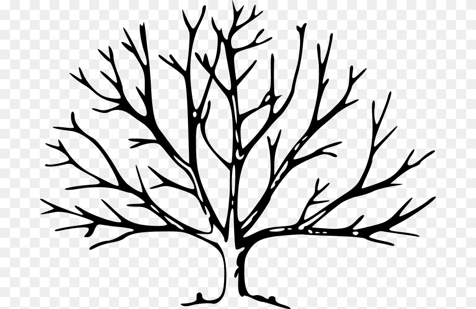 Tree Vector, Gray Free Png