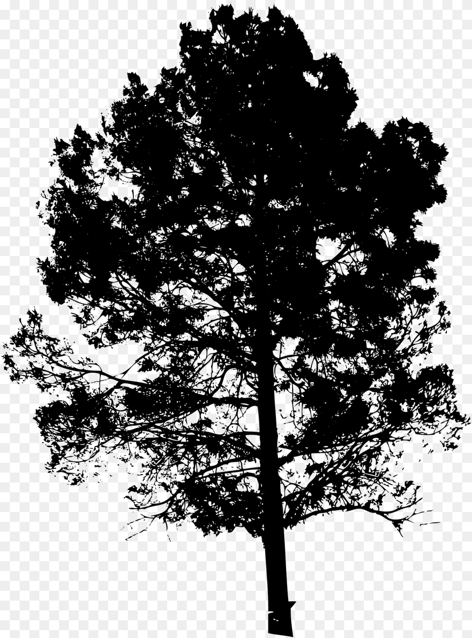 Tree Vector, Gray Png