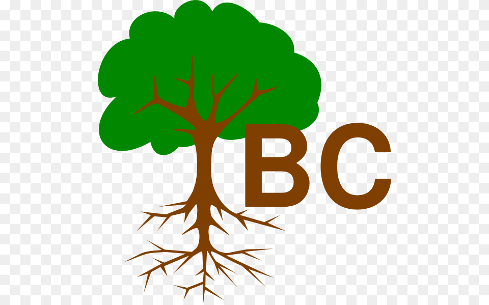 Tree Vector Black, Plant, Root, Leaf Png