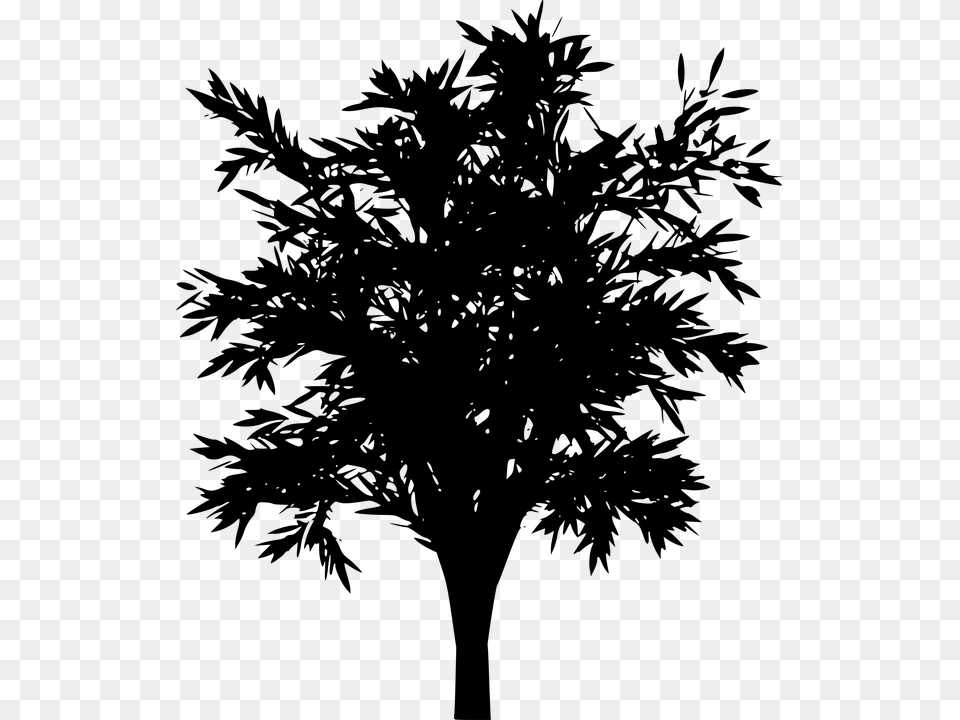 Tree Vector Black Silhouette Vektrel, Gray Free Png