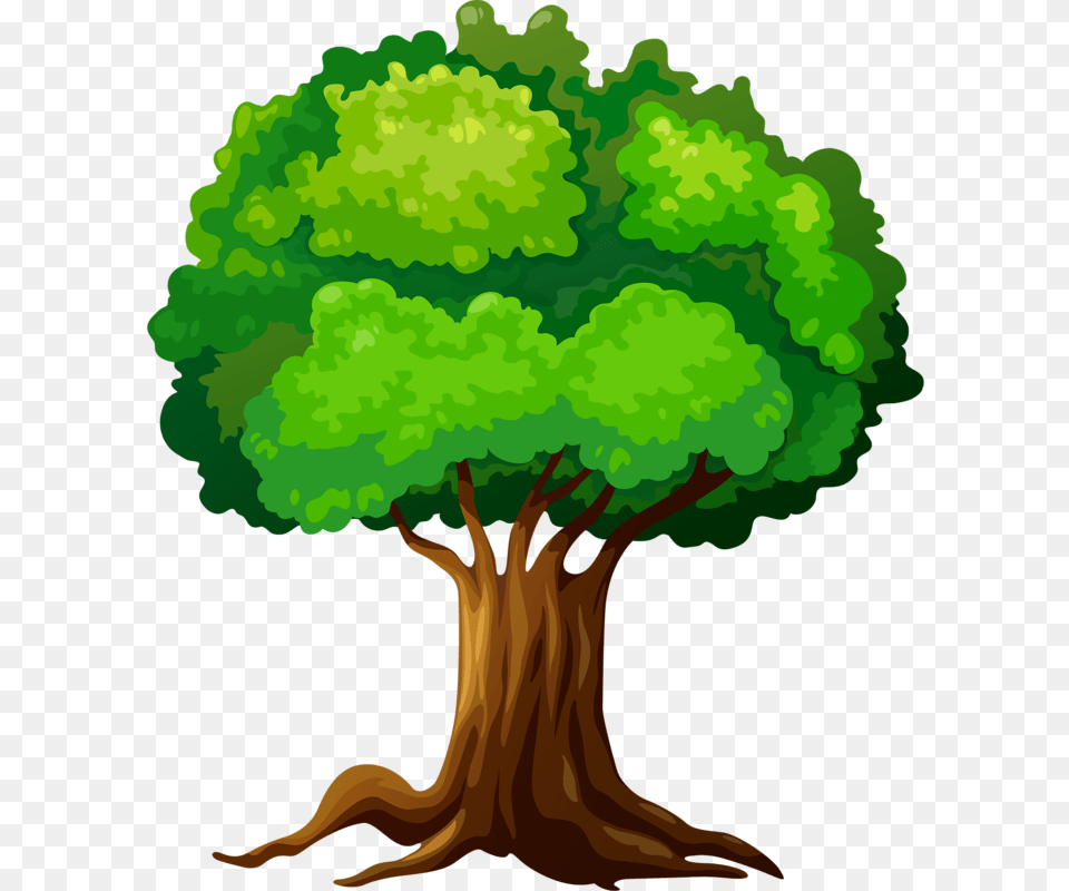 Tree Vector Graphics, Green, Plant, Vegetation, Art Png Image